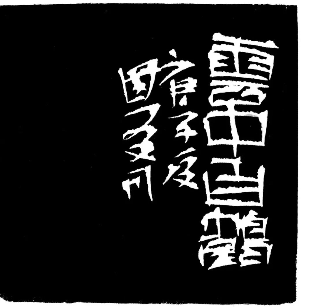 云中白鹤印蜕