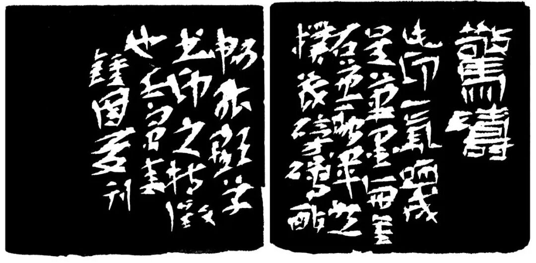 惊涛印蜕